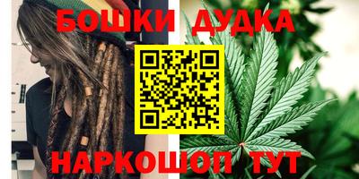 гидропоника Можга