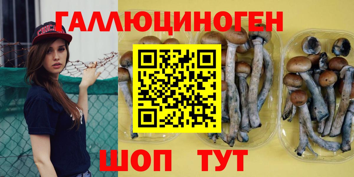 Галлюциногенные грибы мухоморы Чистополь